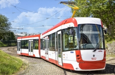 šalina